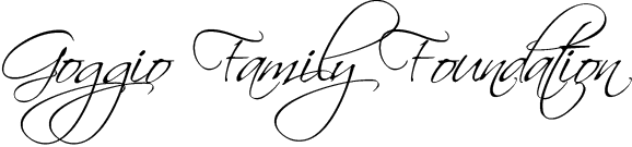 The Academy Project community partner